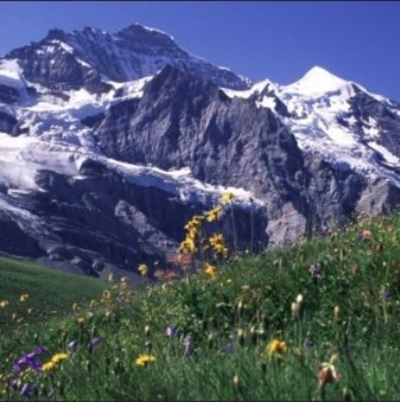 Meet your Posher, Dennis - Picture 1 of 1